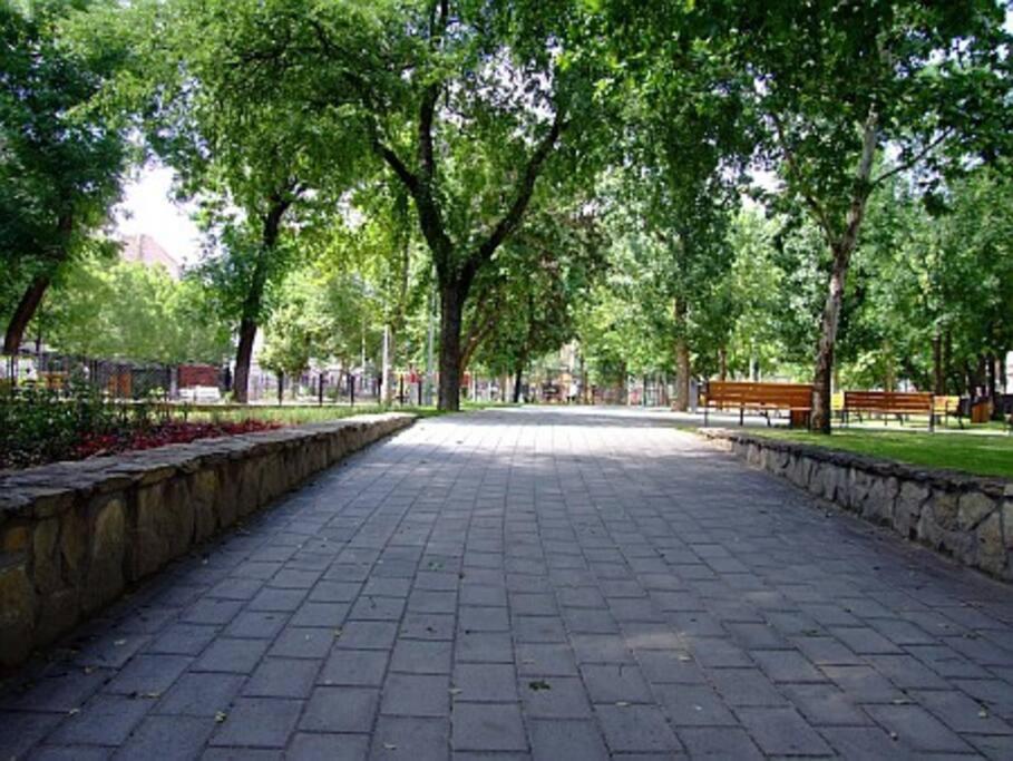 בודפשט Central 30M2 A/C Apartment, 3 Min From Ny Cafe מראה חיצוני תמונה